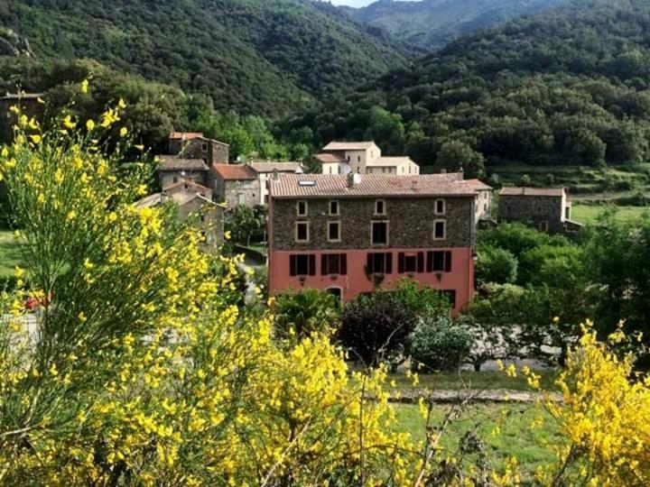 Auberge Cevenole Valleraugue Eksteriør billede