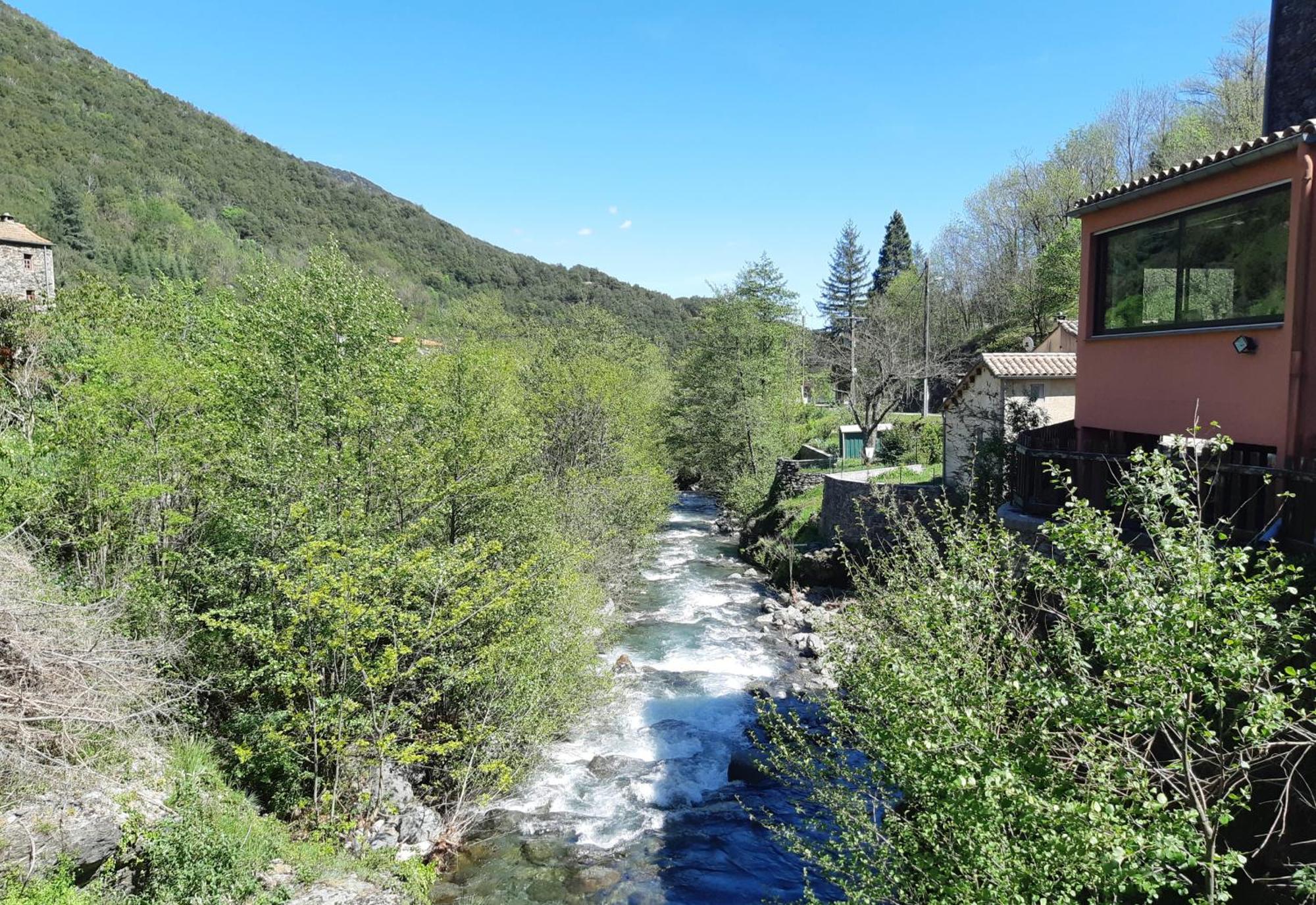 Auberge Cevenole Valleraugue Eksteriør billede